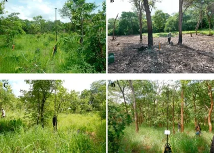Kenali Peruntukan Lahan (Land Use) Kavling yang Anda Miliki 6 Kenali Peruntukan Lahan (Land Use) Kavling yang Anda Miliki
