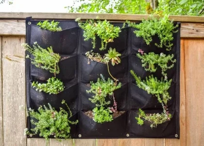 Ide Taman Vertikal Sederhana