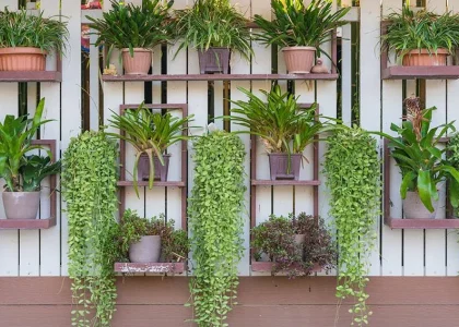 Taman Vertikal