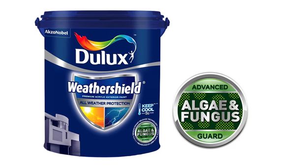Harga Cat Dulux Terbaru 2025: 7 Varian & Kelebihannya 6 Dulux Weathershield