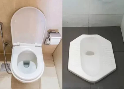 Fakta Medis Tentang Perbedaan Toilet Jongkok dan Duduk