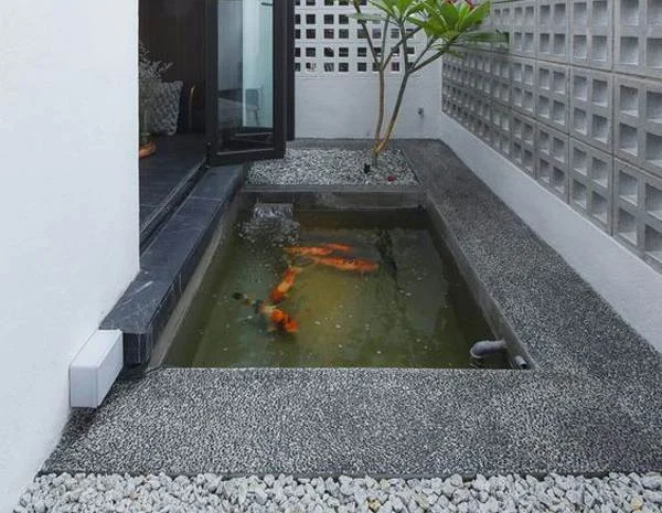 Inspirasi Kolam Ikan Minimalis di Lahan Sempit