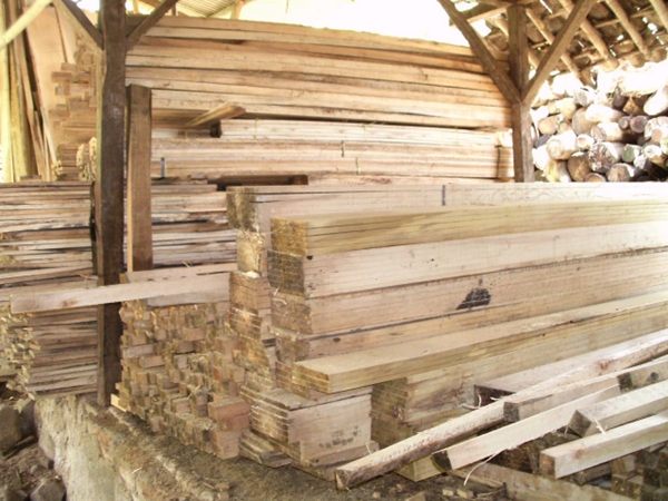 Kayu Reng Albasia