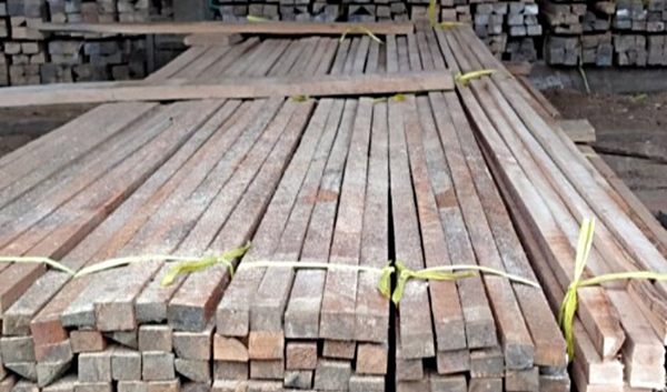 Kayu Reng Meranti