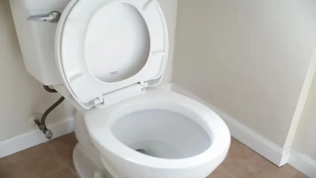 5 Fakta Medis Tentang Perbedaan Toilet Jongkok dan Duduk: Mana yang Lebih Sehat? 2 Perbedaan Toilet Jongkok dan Duduk