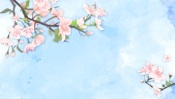 20 Wallpaper Ruang Makan Impian yang Bikin Suasana Makan Makin Nyaman! 4 Wallpaper bunga sakura warna biru muda